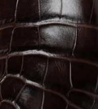 Kenneth Cole Larroudé x Kenneth Cole: Clog Dark Oak Croco Leather | CROCO