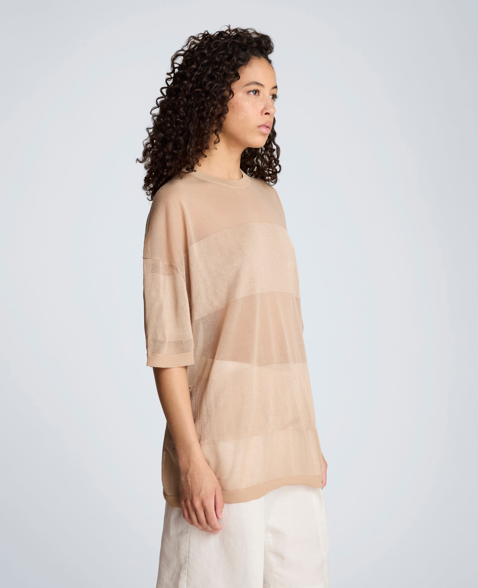 Kenneth Cole Shiny Semi Sheer Stripe Crew Neck | TIMELESS TAUPE