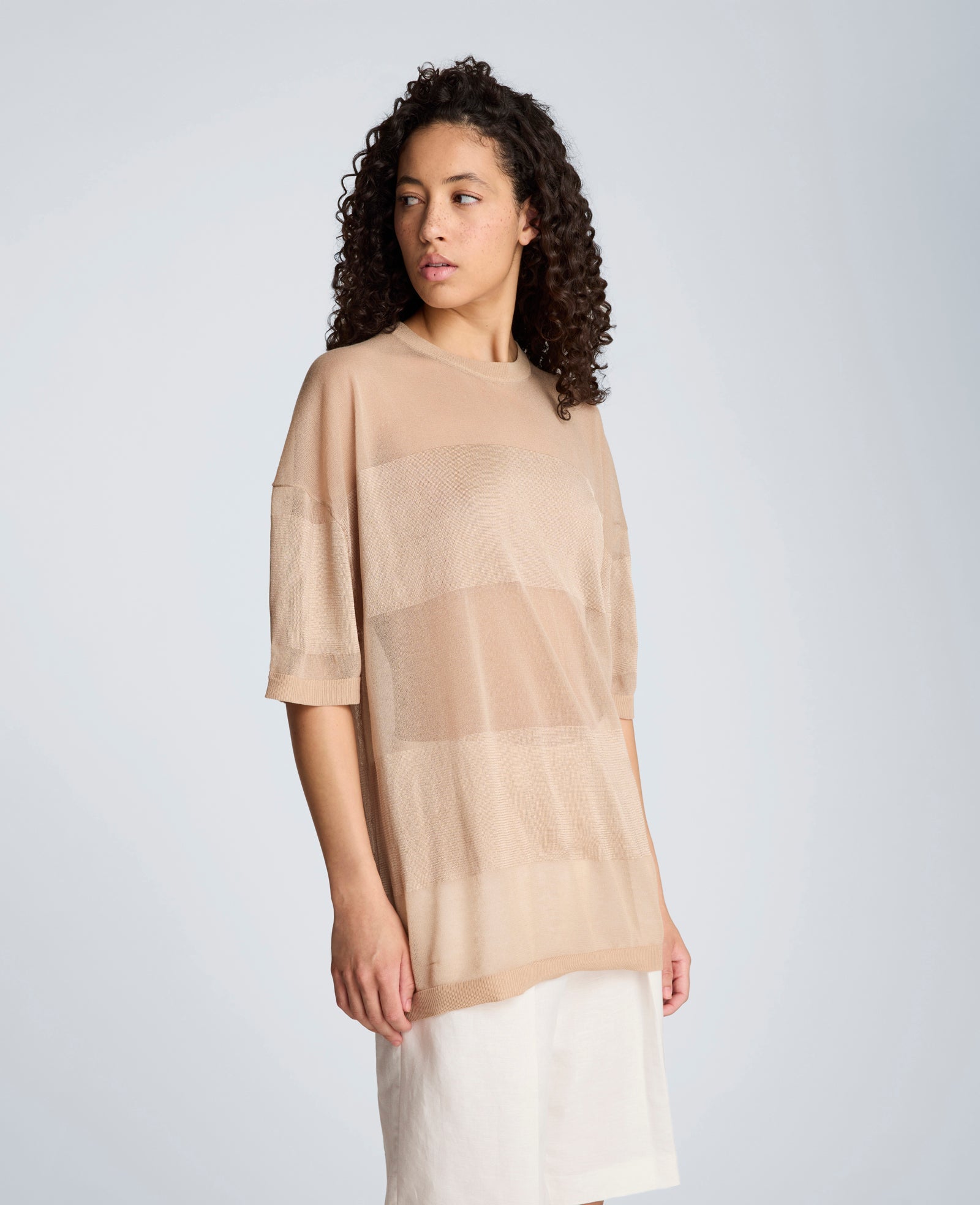 Kenneth Cole Shiny Semi Sheer Stripe Crew Neck | TIMELESS TAUPE