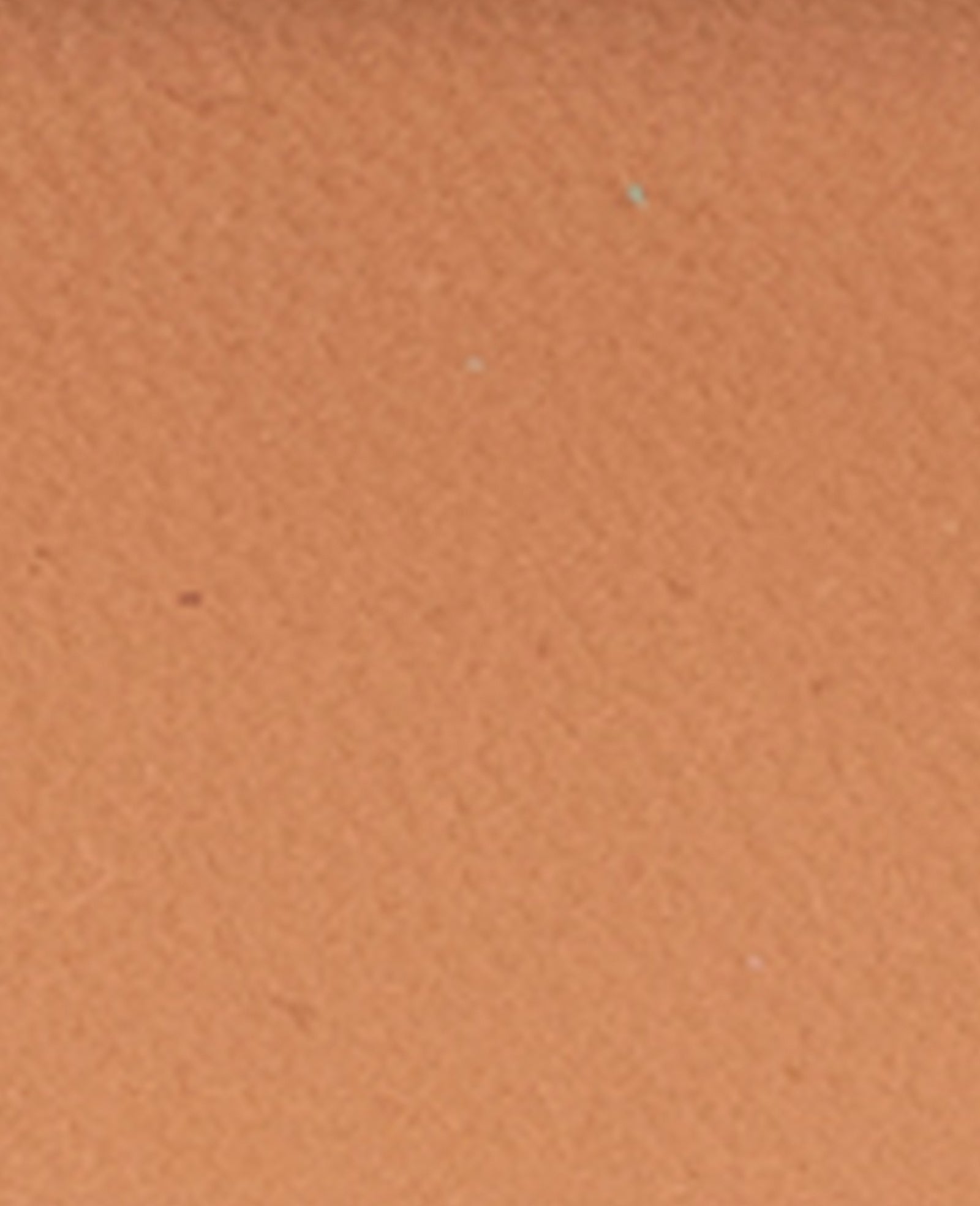 Kenneth Cole Essa Rust Woven Platform Sandal | Kenneth Cole Reaction | RUST