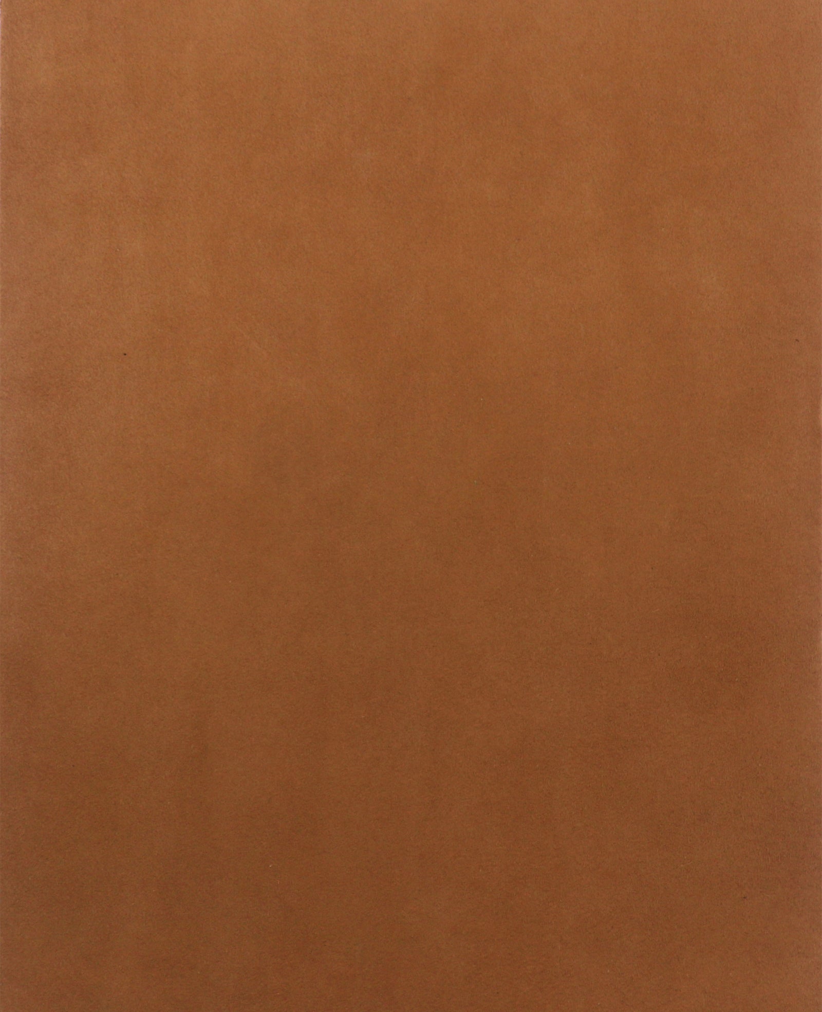 Kenneth Cole Shop Gentle Souls Crew Camel Suede Loafer | Kenneth Cole | CAMEL SUEDE